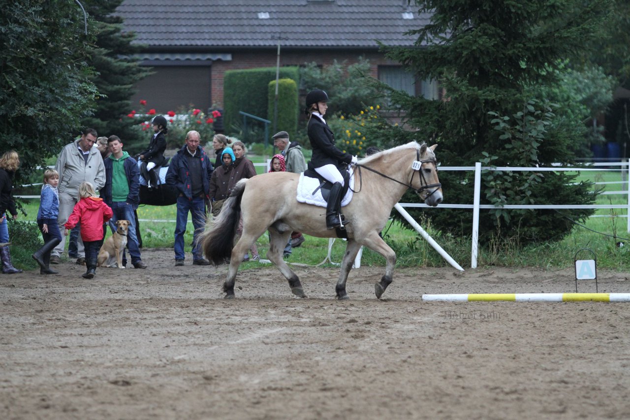 Bild 430 - WBO-Turnier am 18.9.11